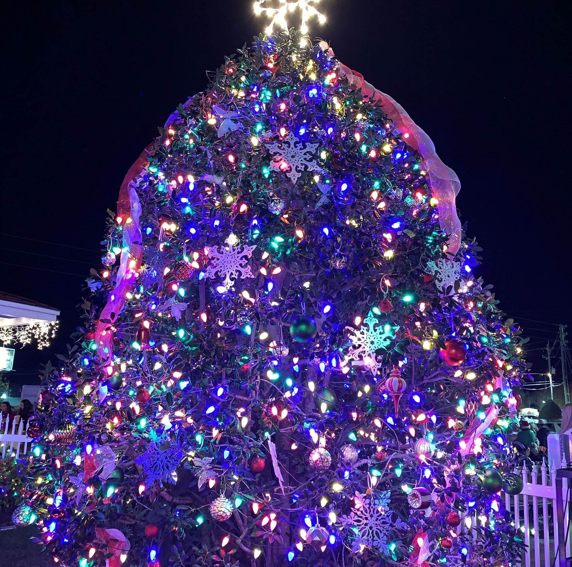 Christmas Tree Lighting at Destin Community Center Event