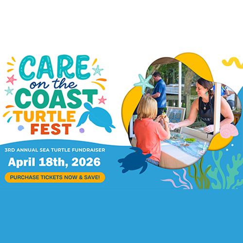 CARE on the Coast TurtleFest Event
