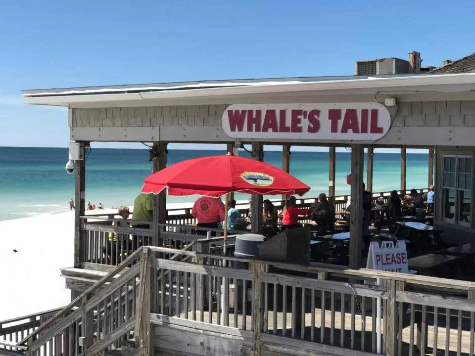 Things To Do The Whale's Tail Beach Bar & Grill