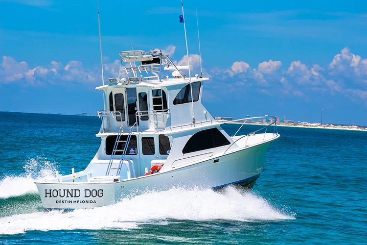 Things To Do Hound Dog Fishing Charters