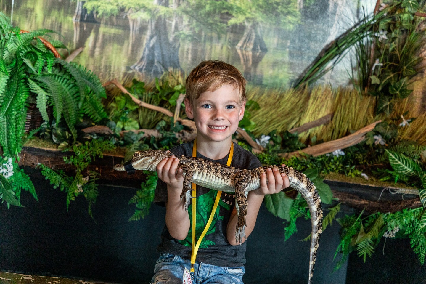 Things To Do Gator Beach