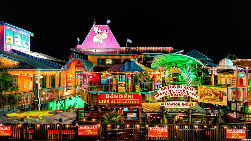 Things To Do Fudpucker's Beachside Bar & Grill