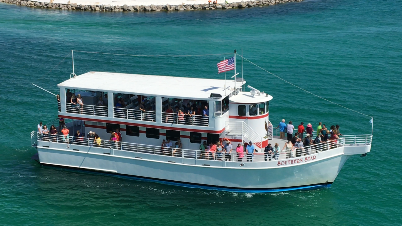 Things To Do Southern Star Dolphin Cruise